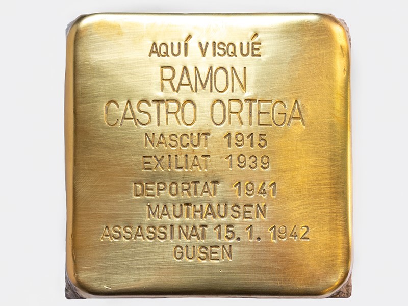 Ramon Castro Ortega